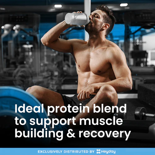 VPLab Sports Casein and Whey in Chocolate Flavor (500g) - Image 5