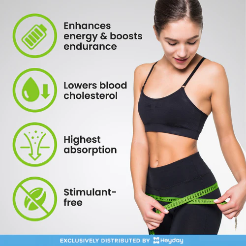 VPLab L-Carnitine (90 Capsules, 1500mg) - Image 5