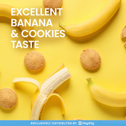 VPLab Sports Protein Milkshake in Banana Flavor (500g) - Image 6